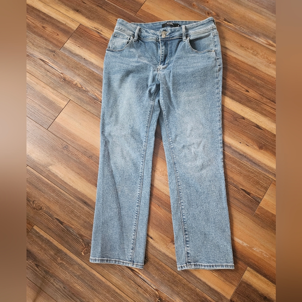 Hudson Jeans Classic Denim Straight Leg Women's Pants